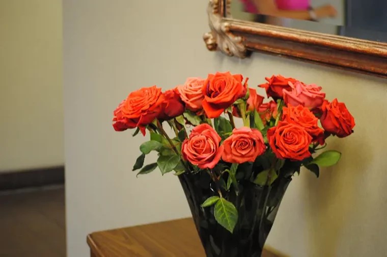 Trinity Manor San Diego, CA Falkenberg/Gilliam & Associates