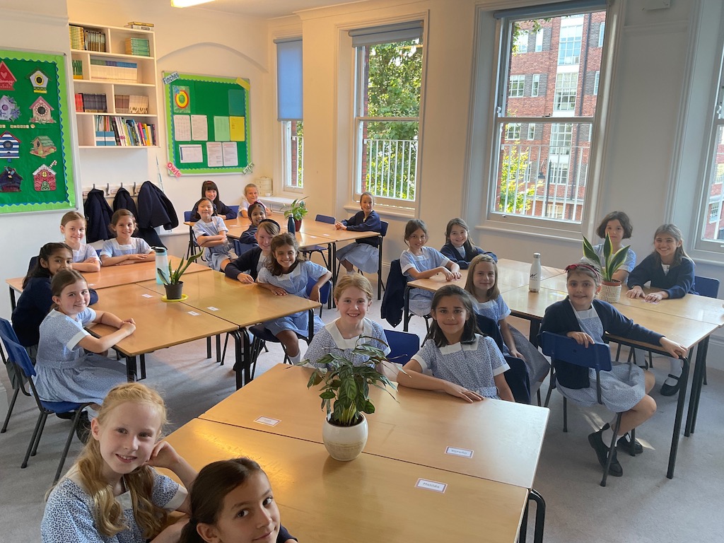 Falkner House Year 4 Falkner House