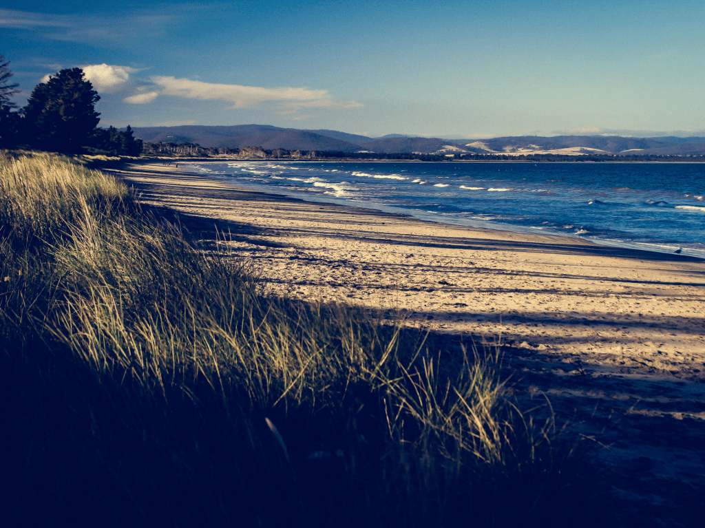 Fall Real Estate Buy, Sell, Rent Real Estate Greater Hobart