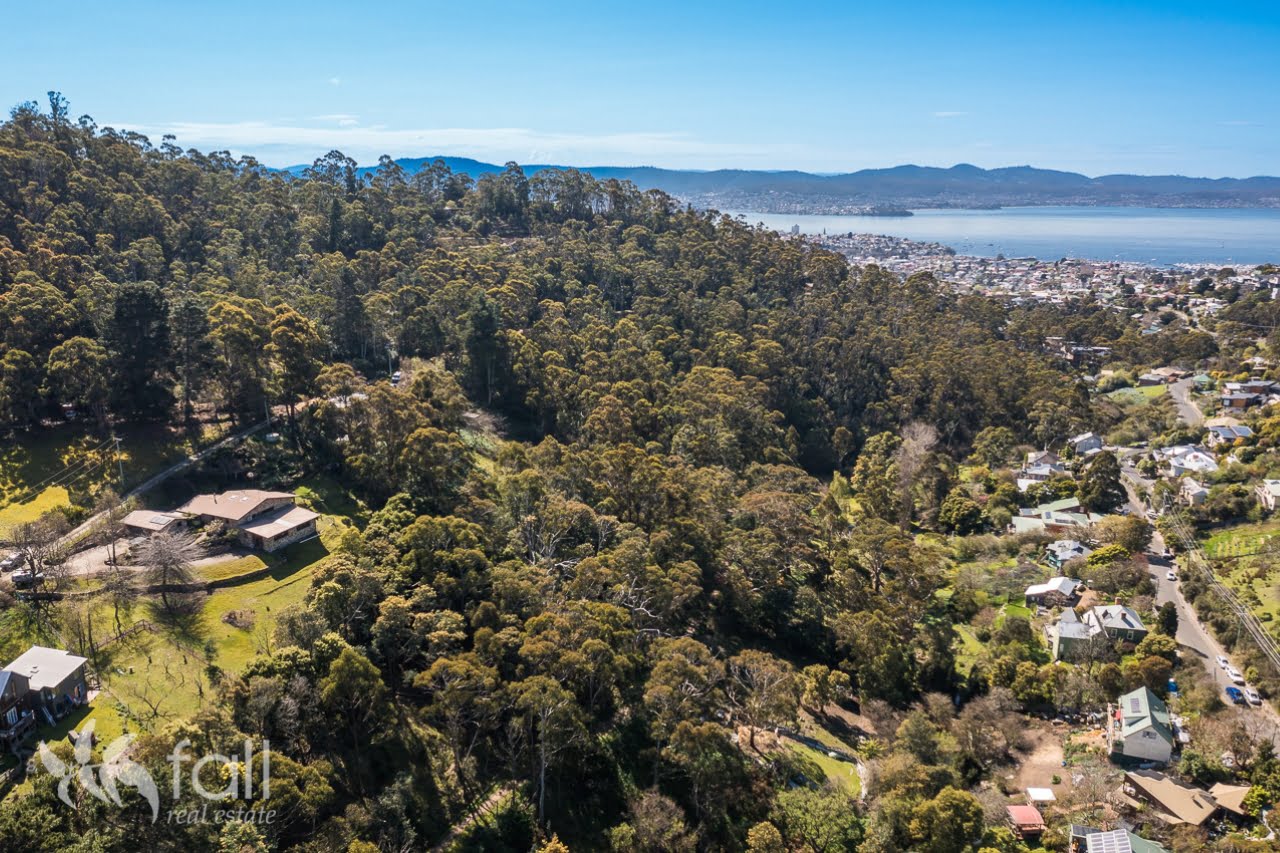South Hobart, Tasmania Suburb Profile Fall Real Estate