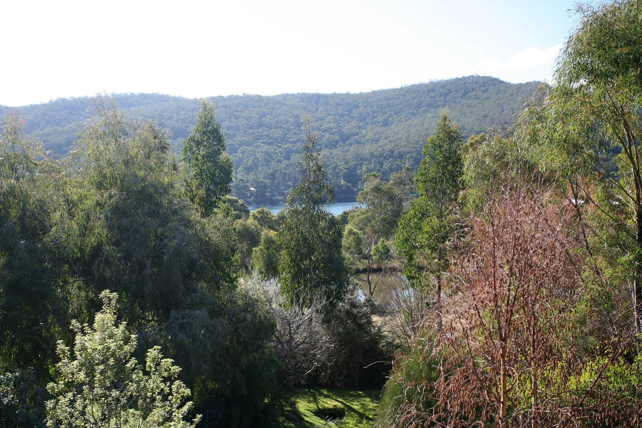 Fern Tree, Tasmania Suburb Profile Fall Real Estate