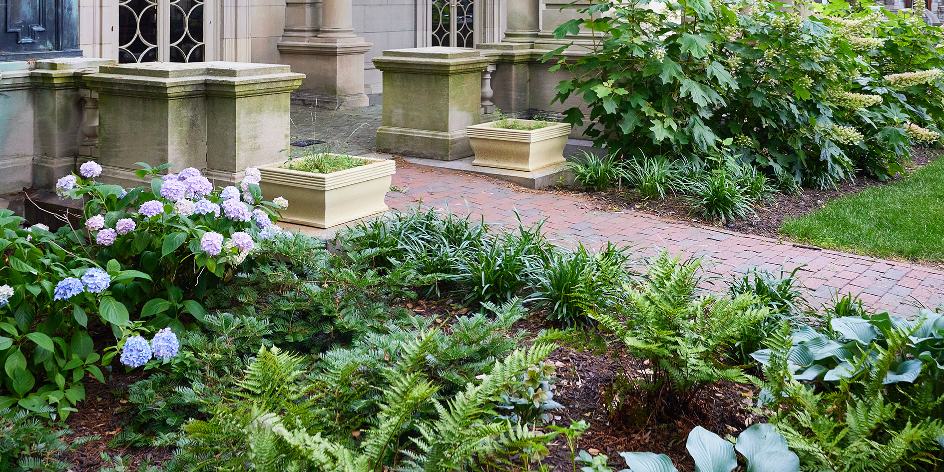 VCU Scott House Fall Line