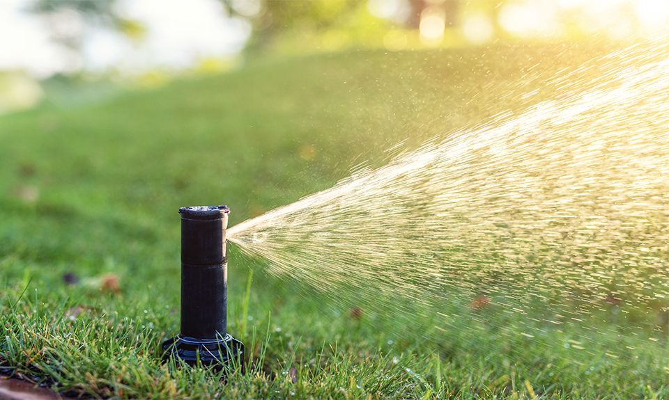 Fallbrook Irrigation