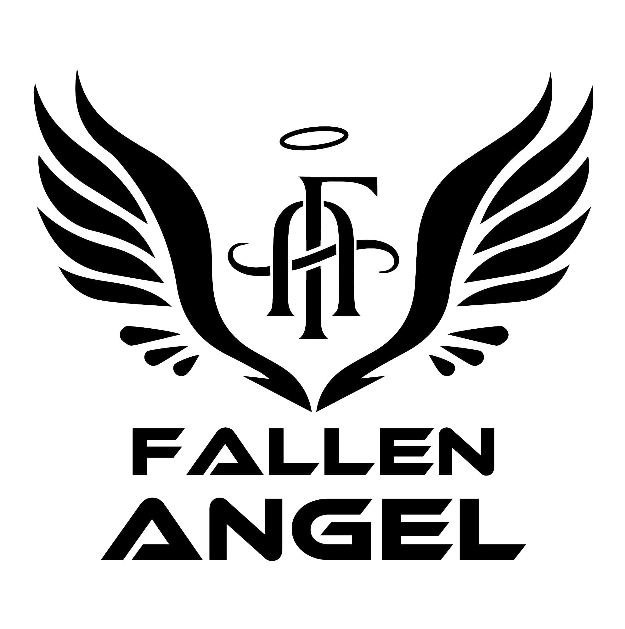 Fallen Angel Discounted Valeting & Detailing Products