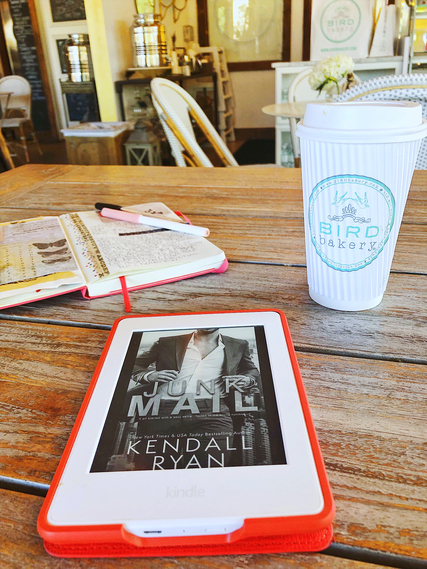 Thoughts While Reading Junk Mail by Kendall Ryan Bree Hill