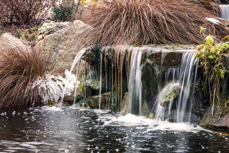Falling Water Designs Pond and Fish Care During Freezing Weather