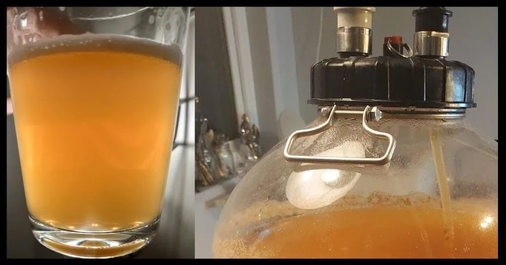 The 3 proven benefits of pressure fermentation (Time