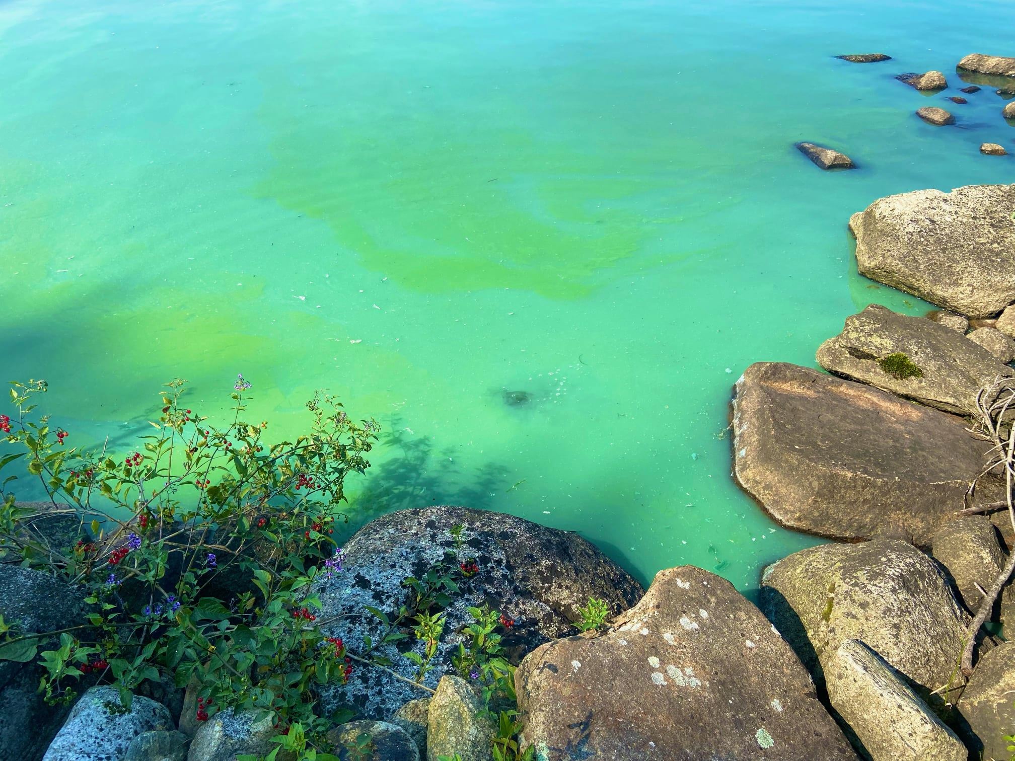 Public to stay away from part of South Watuppa Pond Fall