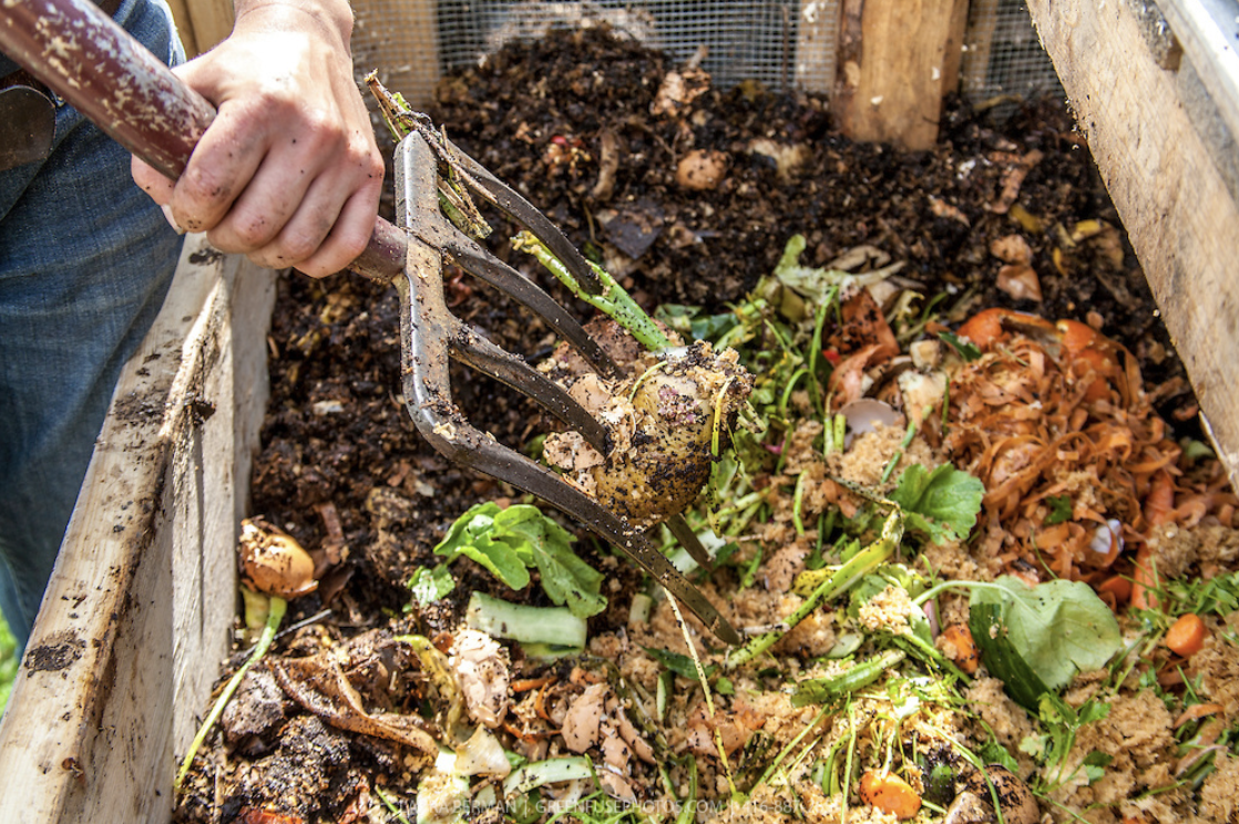 Springtime Garden Hazards For Your Pet Falmouth Veterinary Hospital