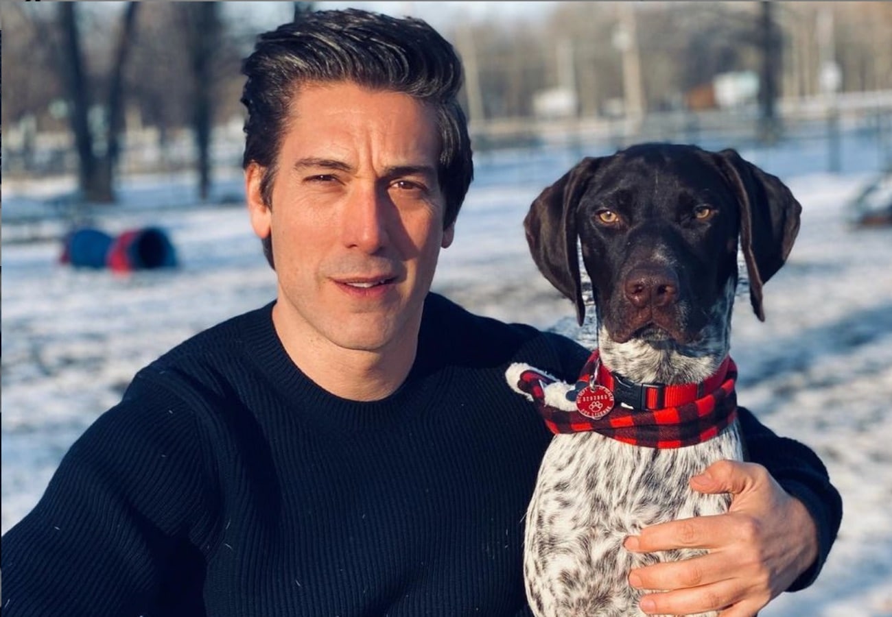 David Muir Partner Reveals His Nature Age, Wife, Gay Talks, Net Worth(029)