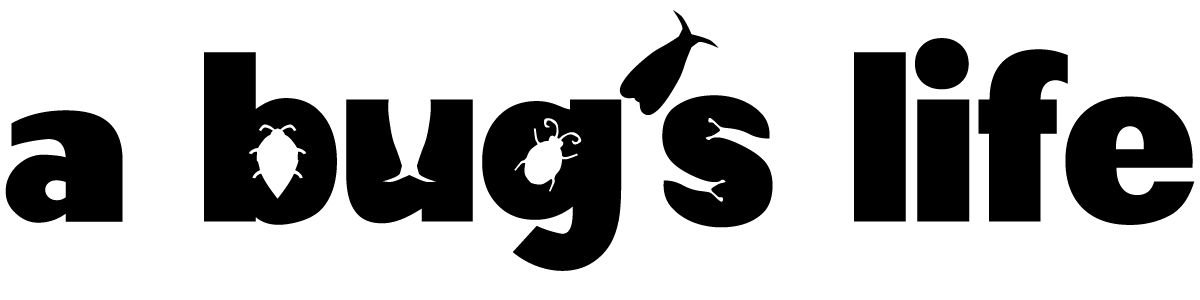 A Bug's Life font download Famous Fonts
