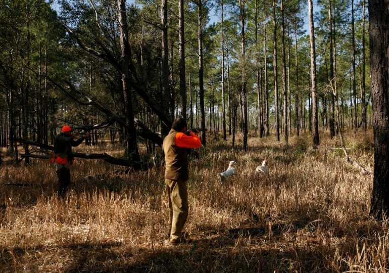 Luxury Quail Plantation Albany Family Expeditions