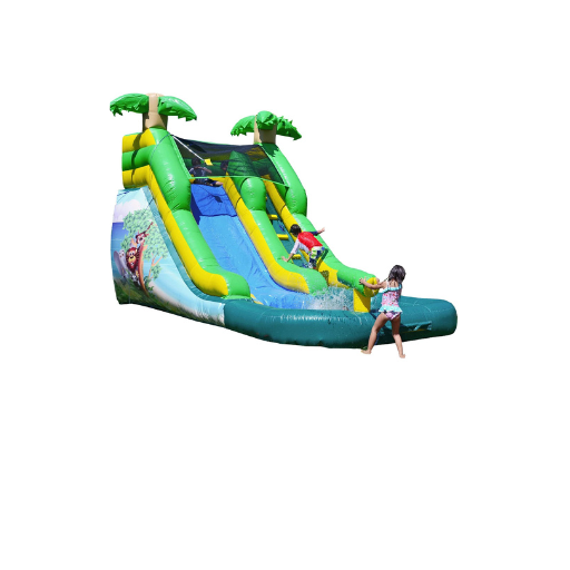 Water Slide Rentals In Alva, FL Family First Events and Rentals Fort
