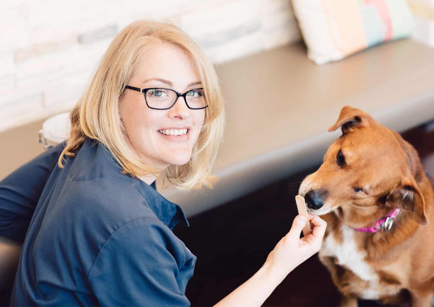 Careers Longmont Veterinary Dr Abernathy
