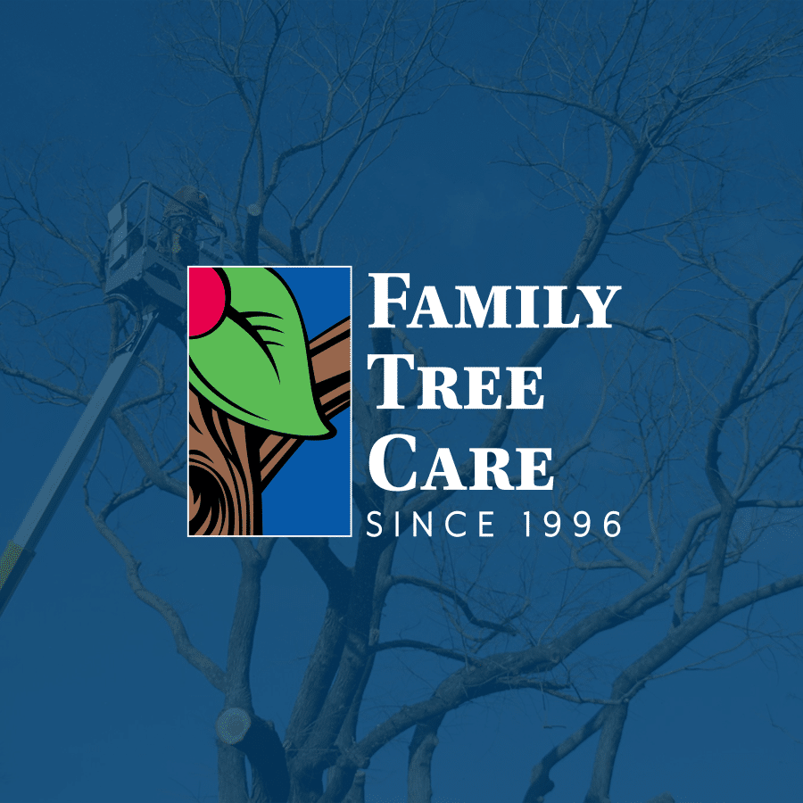 About Us Family Tree Care