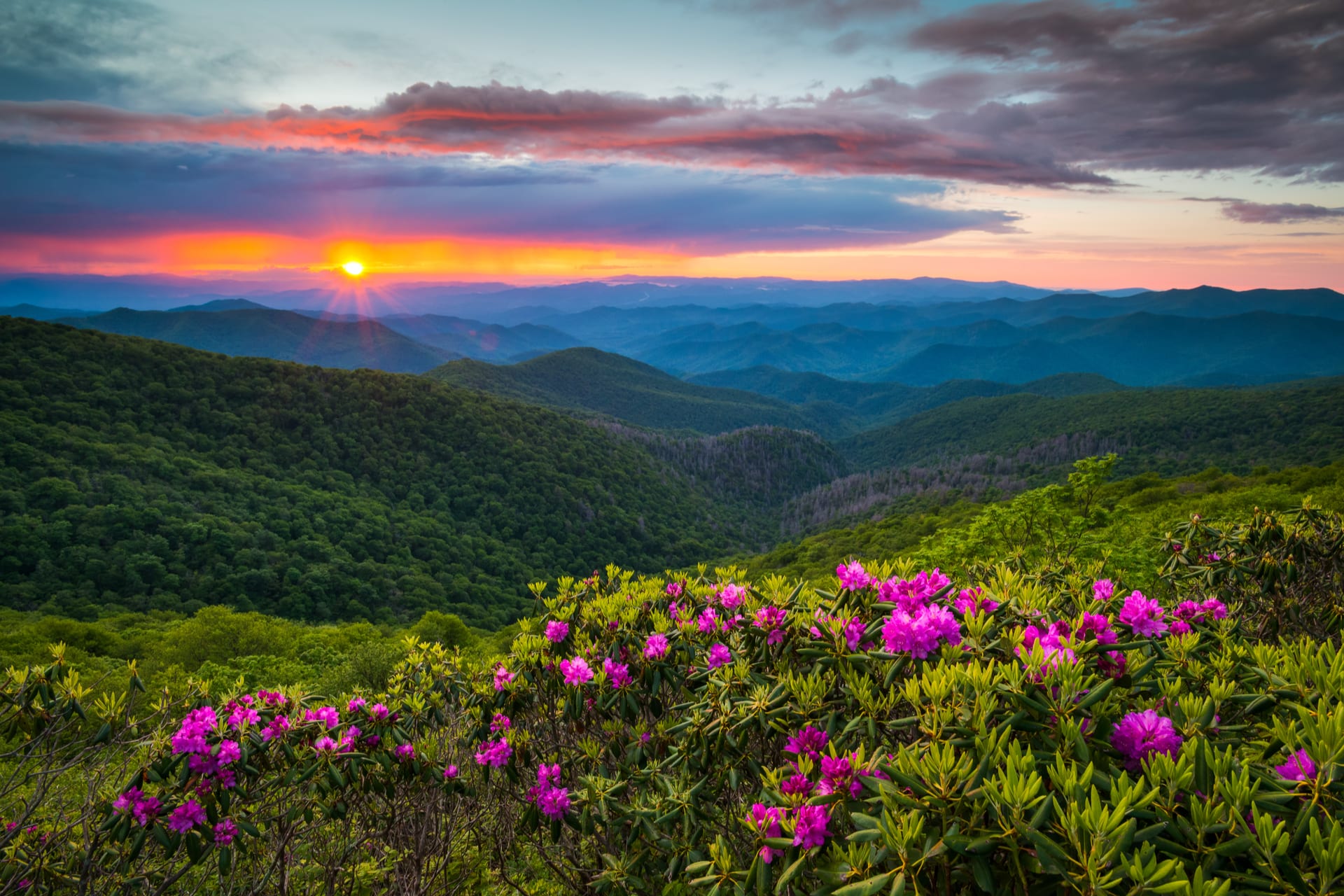 20 Best National Parks in Spring (2021 Update) FamilyVacationist