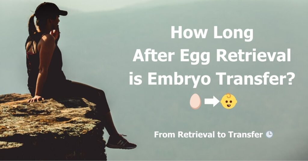 How Long After Egg Retrieval is Embryo Transfer? Timing is Everything