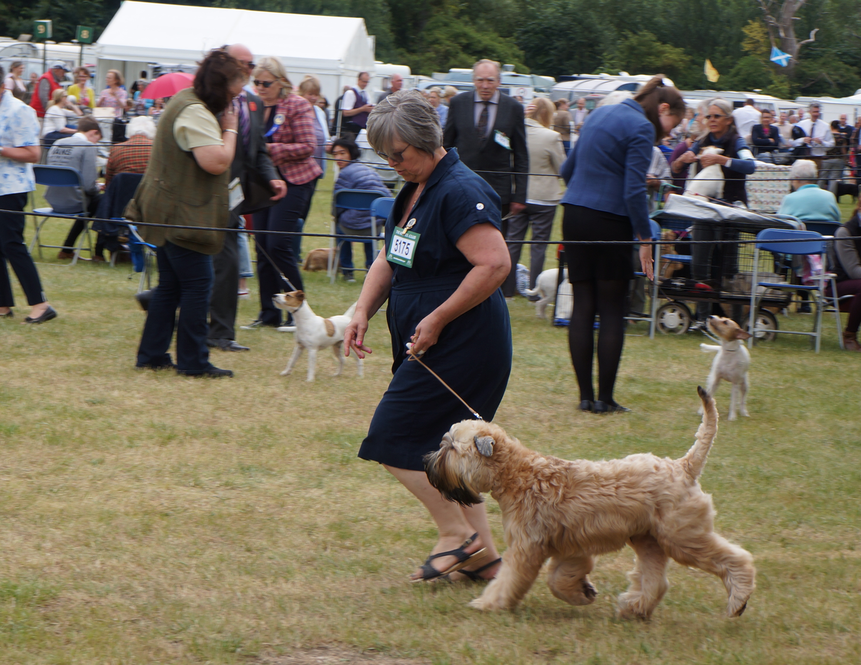 Windsor Dog Show FamilyWray
