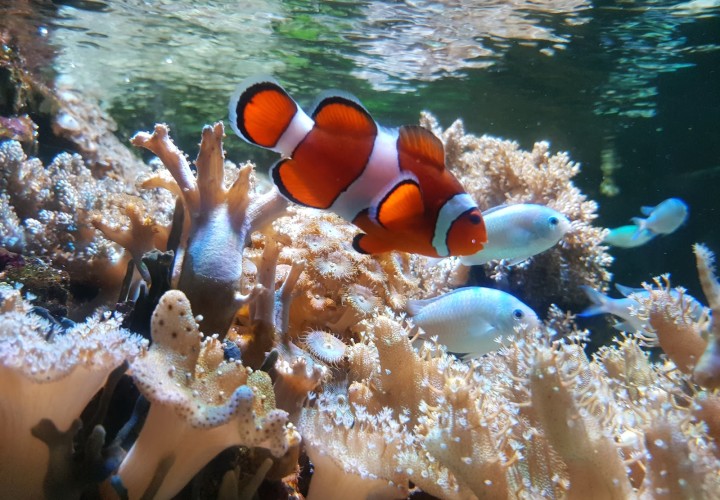 SEA LIFE Centre Munich München FamiZeit.de