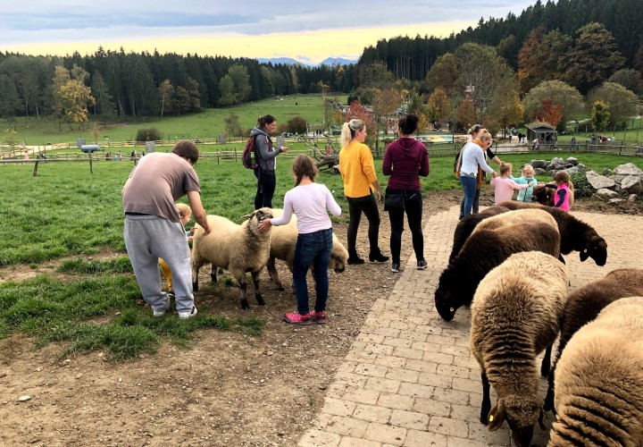 BergTierPark Blindham Oberbayern FamiZeit.de