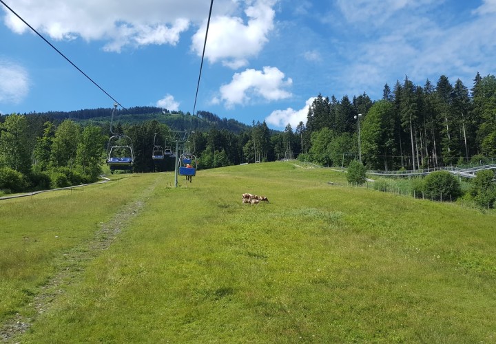 Blombergbahn Bad Tölz Bad TölzWolfratshausen FamiZeit.de