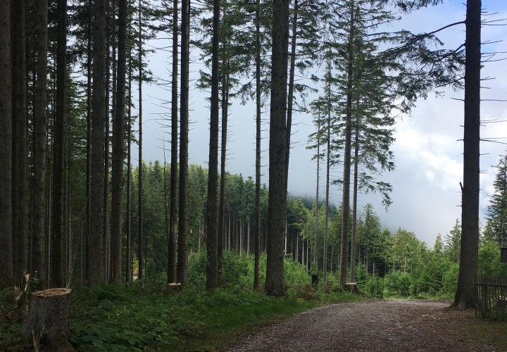 Blombergbahn Bad Tölz Bad TölzWolfratshausen FamiZeit.de