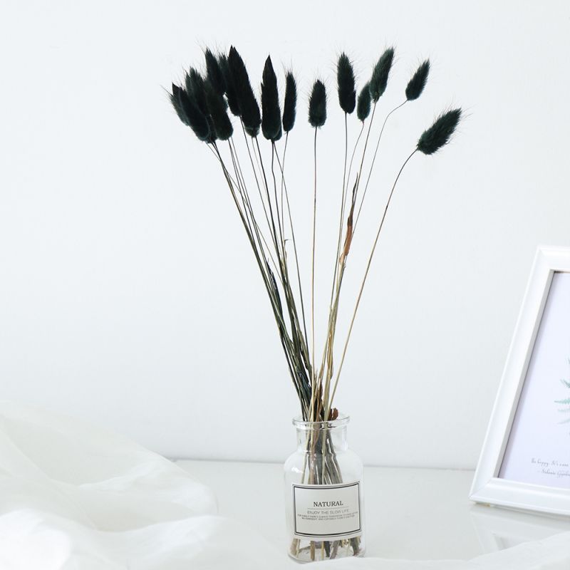 Large Bunch of Dried Bunny Tails Black Famous Mountain