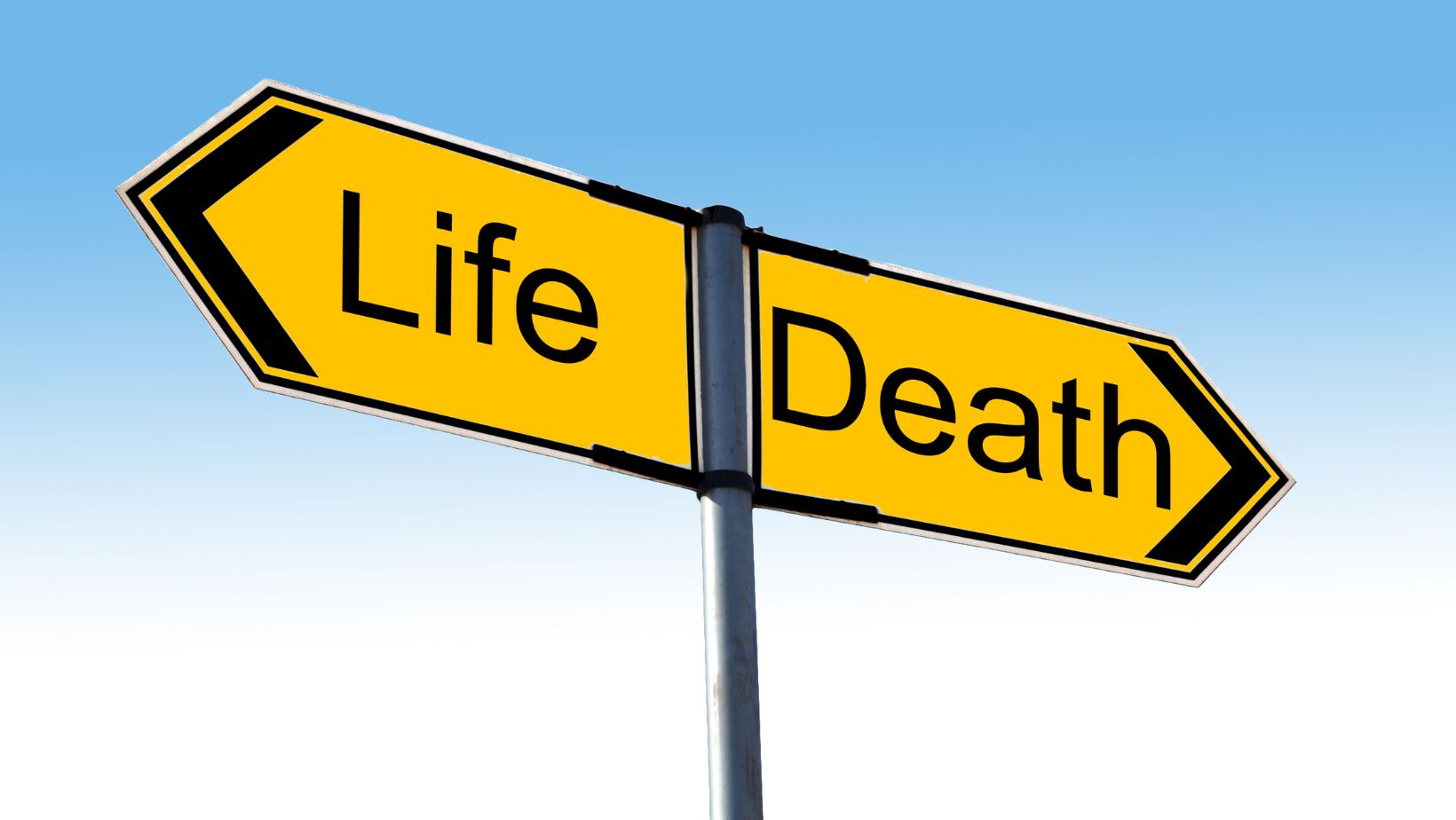 Theories About Lamar's Death Is Lamar From Bmf Still Alive In Real