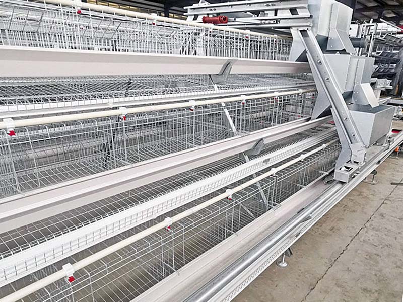 Introduction of Battery Cage Materials FAMtech Poultry Cage