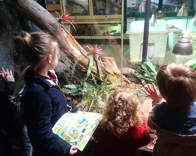 An visit to Reaseheath Zoo Families Online
