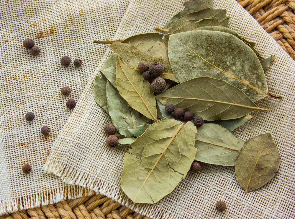 Dry Bay Leaves How to Store and Use Them for Maximum Flavor