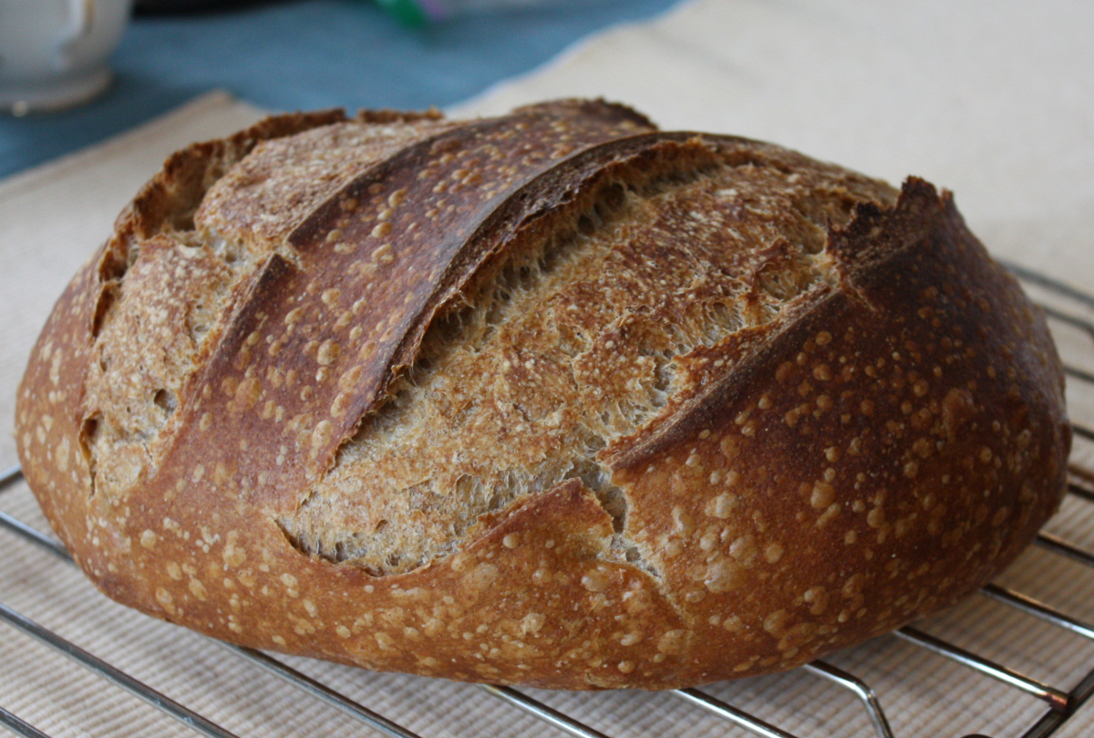 Daily Bread Fanatic Cook