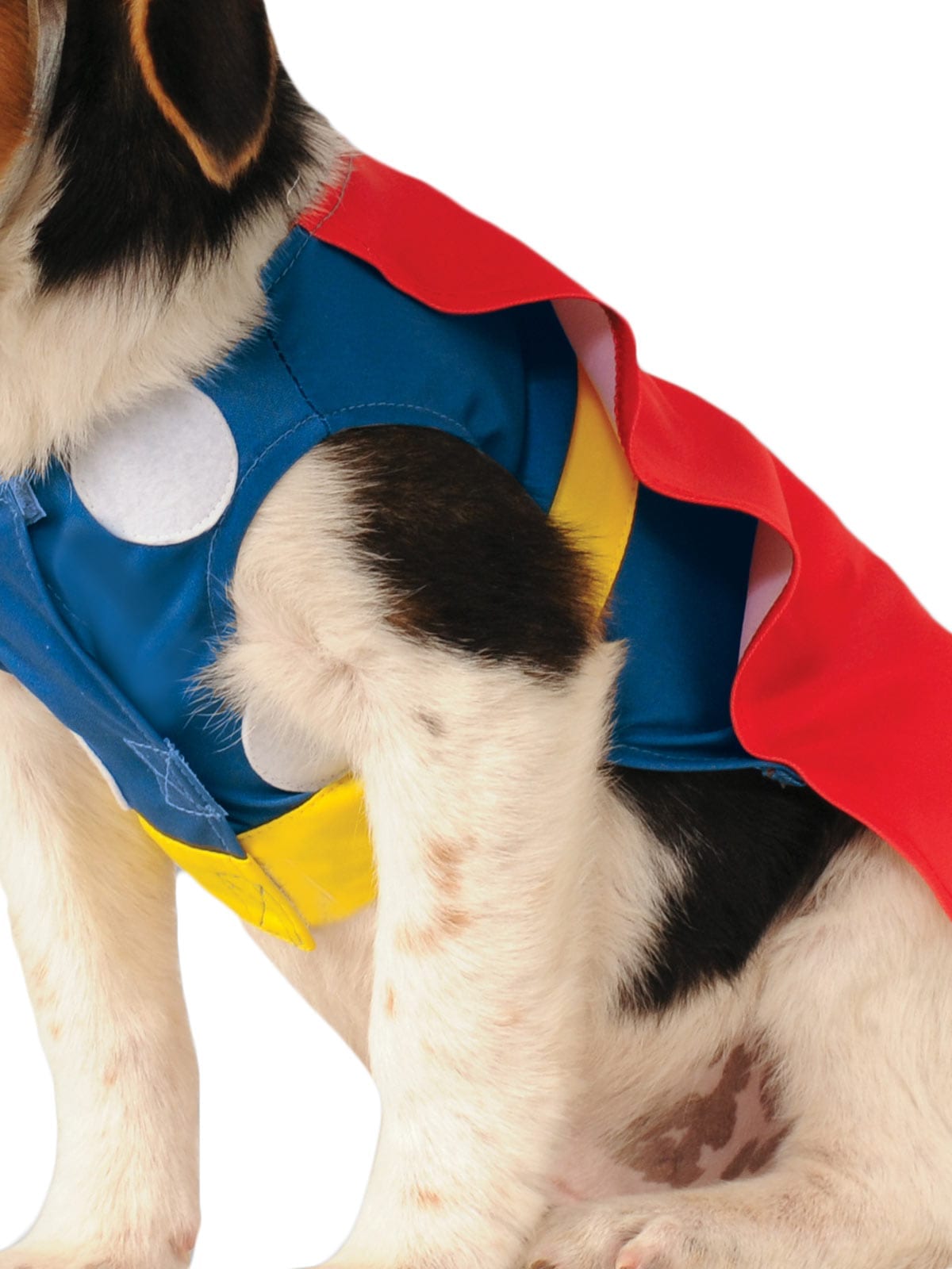 Thor, Pet Costume The Costumery