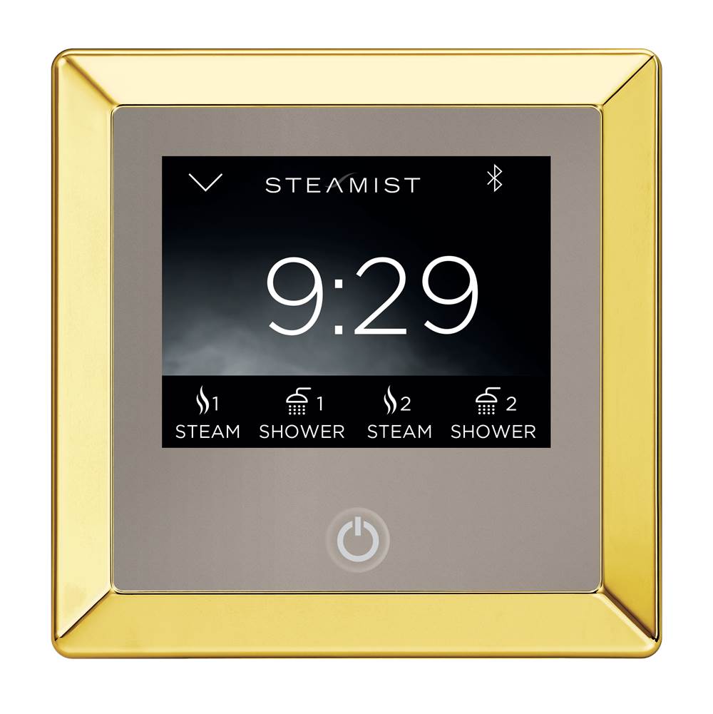 Steam Shower Controls PlainviewNewYork