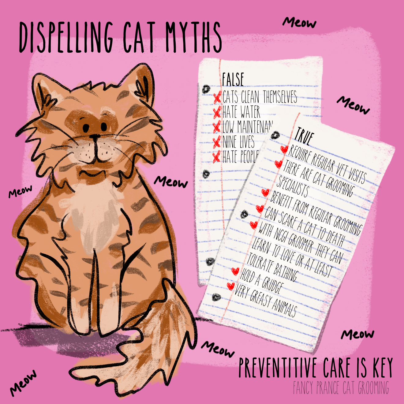 Cat grooming Feline Cat Grooming Specialist