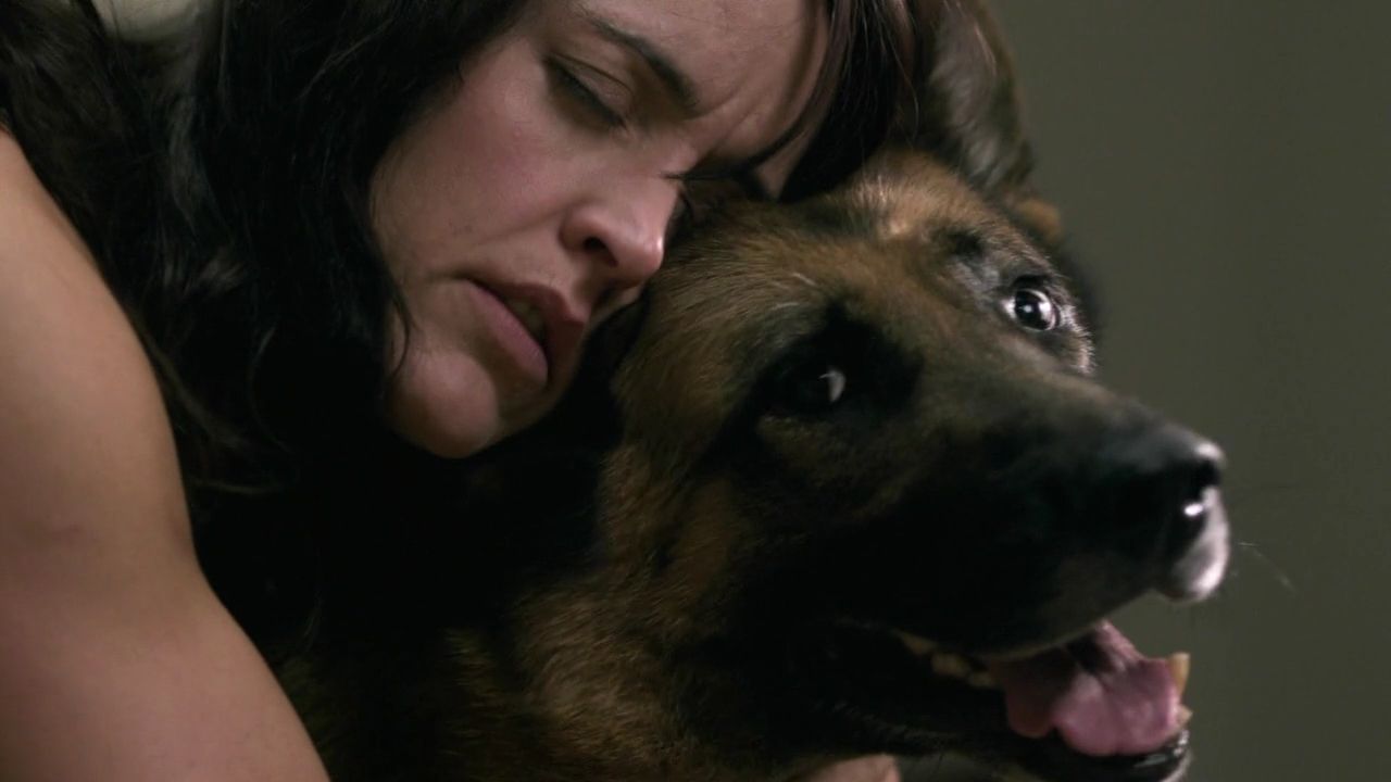 TV Review Supernatural 6.08 “All Dogs Go To Heaven” Fandomania