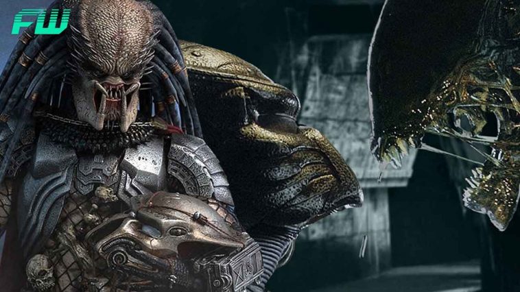 New Alien Vs Predator Under Development - Fandomwire