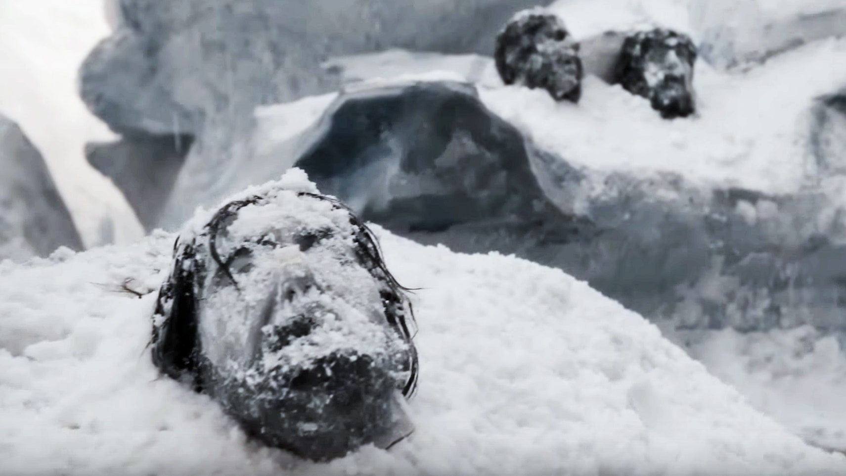 The Terror Made a Real-Life Tragedy More Explicit by Adding a Monster. Since horror fictions are often based on real events, the stories tend to leave their aftereffects for a long time. The Terror is no exception in that. It is an adaptation of Dan Simon&rsquo;s 2007 bestseller that retells the story of a damned Arctic expedition. The story of Two Royal Navy ships, Erebus and Terror, embarked on the doomed voyage led by Sir John Franklin. Along with the real story, supernatural effects were added to make it even a more terrifying tale. Scariest TV shows