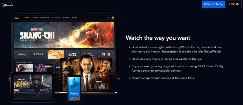 US sign in DisneyPlus