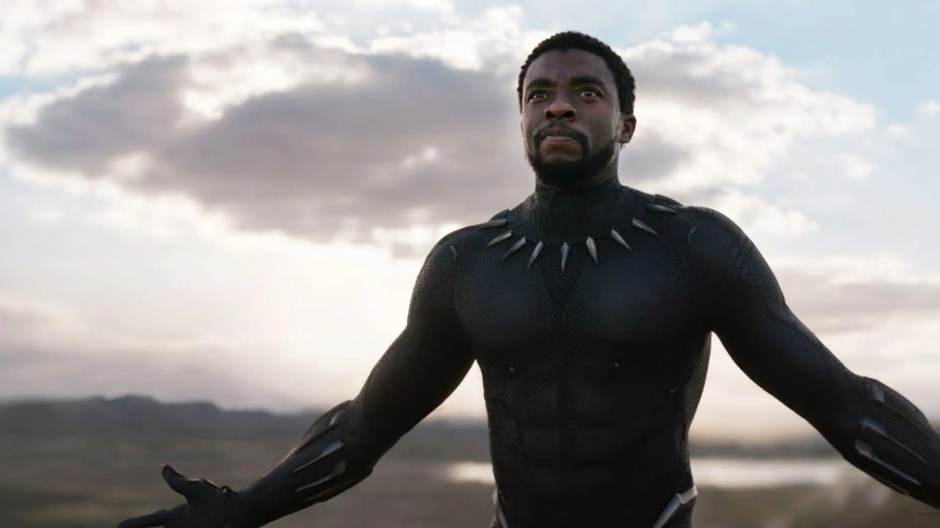 Chadwick Boseman as Black Panther