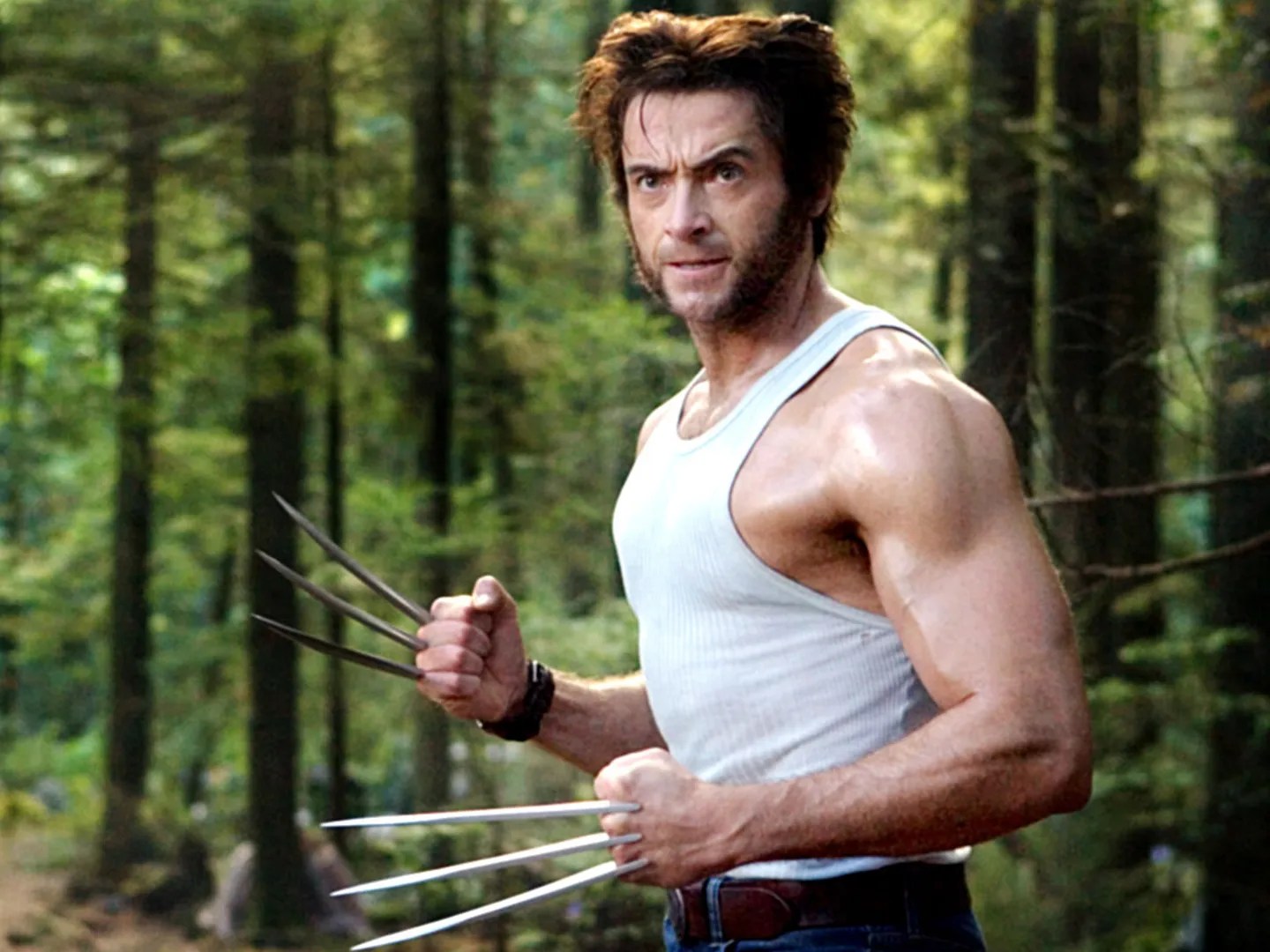 Hugh Jackman as Wolverine