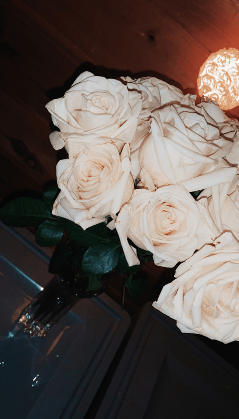 Free access to annafitzs Leaked OnlyFans - FanforLeaks