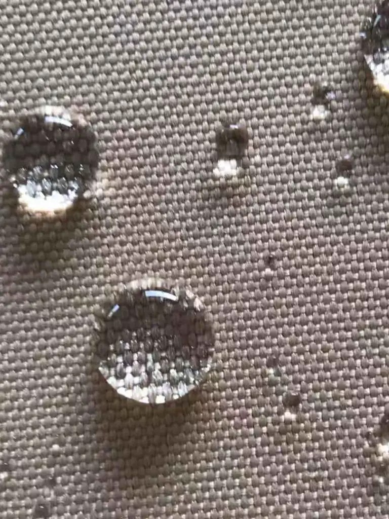 Understanding the Difference Waterproof vs. Water Resistant