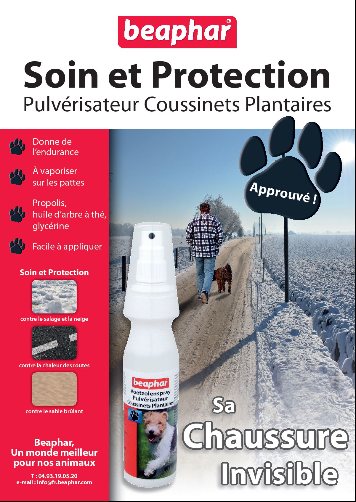 Le Chien Le Froid Et La Neige Fanimo