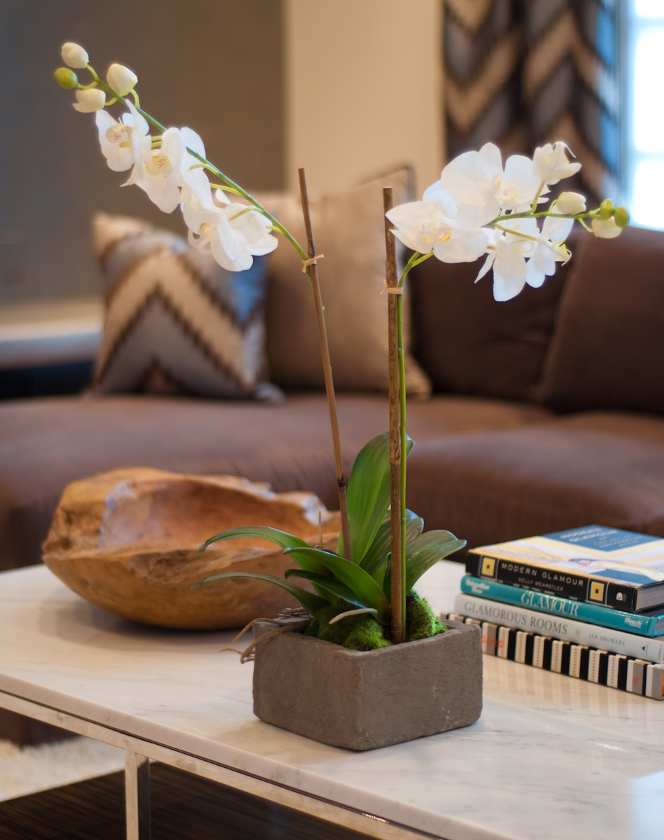 Interior Design Fanny Zigdon