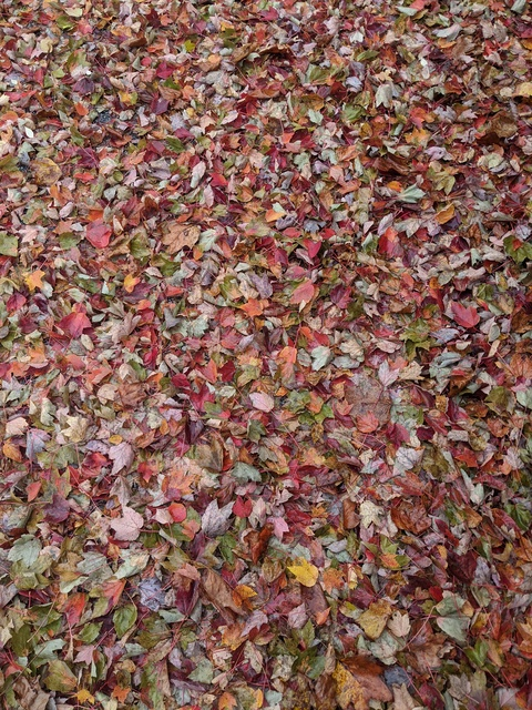 illuxx (Illuxx) free OnlyFans Leaks - fans4leak.com