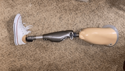 Find the Hottest amputeebella OnlyFans Content Join Now - FanStatistics