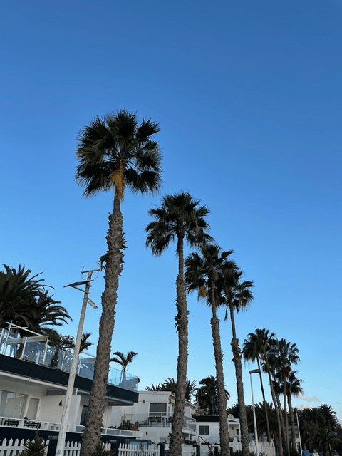 Find the Hottest maddietagg OnlyFans Content Join Now - FanStatistics