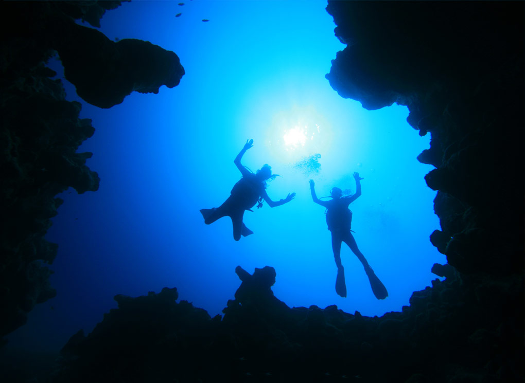 Fantasea Recreational Diving Fantasea