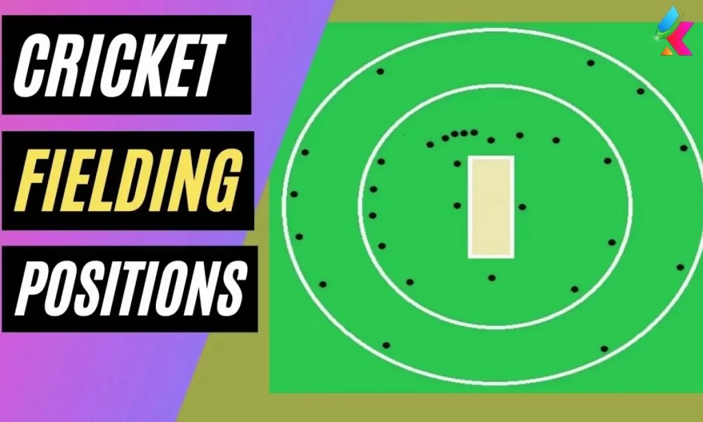 Cricket Fielding Positions Explained From Slip to Square Leg